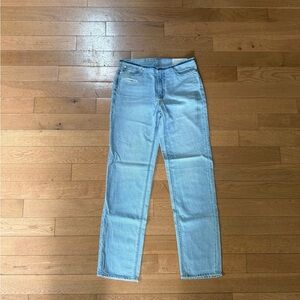 American Eagle Outfitters Blue Straight Jean